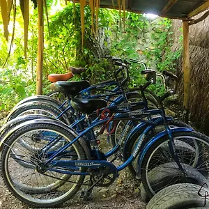 Gasthuis Guarumbo, Bacalar